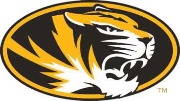 Tiger Head png